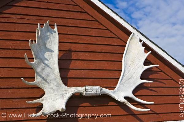 Stock photo of Fishing stage antlers Newfoundland Labrador