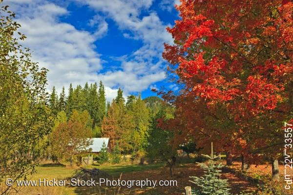 Stock photo of Fall autumn colors trees Crawford Bay Central Kootenay British Columbia Canada