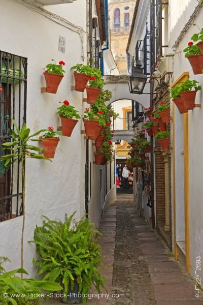 Stock photo of Calleja de las Flores Mezquita bell tower City of Cordoba Province of Cordoba Andalusia Spain Europe