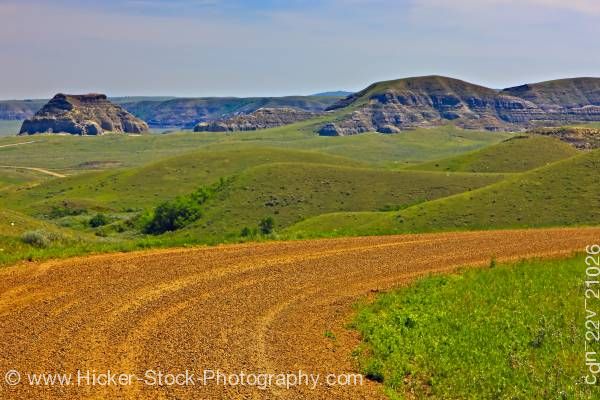 Stock photo of Road to Castle Butte in the Big Muddy Badlands of Southern Saskatchewan Canada