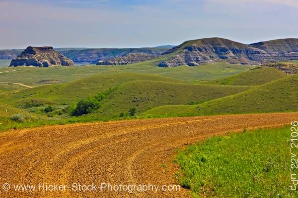 Stock photo of Road to Castle Butte in the Big Muddy Badlands of Southern Saskatchewan Canada