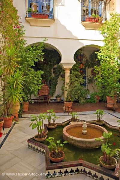 Stock photo of Courtyard plants old town district City of Cordoba Province of Cordoba Andalusia Spain Europe