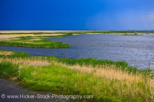 Stock photo of Hammock Marsh landscape Stonewall Manitoba Canada