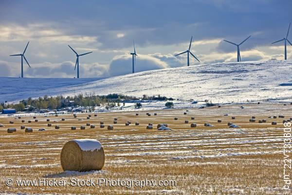 Stock photo of Hay bales snow covered windmills Southern Alberta Canada
