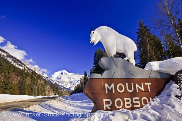 Stock photo of Mountain Goat Statue Mount Robson Provincial Park Yellowhead Highway British Columbia Canada 