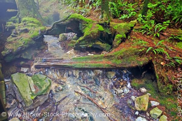 Stock photo of Mineral water Hot Springs Cove Maquinna Marine Provincial Park West Coast Vancouver Island BC