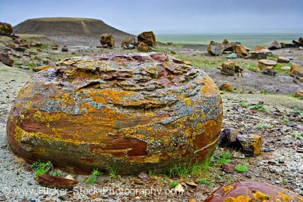 Stock photo of Sandstone concretions Red Rock Coulee Natural Area Alberta