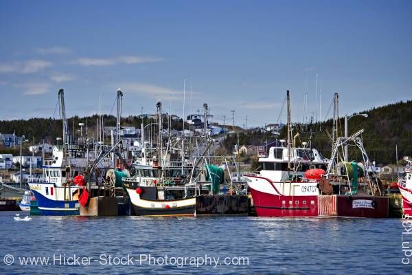 Stock photo of Shrimp fishing boats St Anthony Harbour Viking Trail Newfoundland Canada