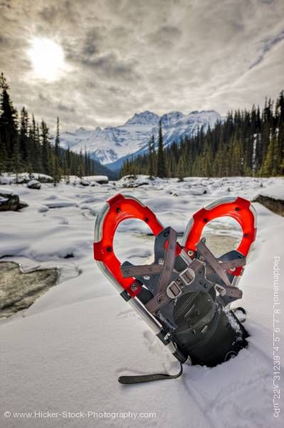 Stock photo of Snowshoes on Mistaya River Bank Mount Sarbach Mistaya Canyon Banff National Park Alberta Canada