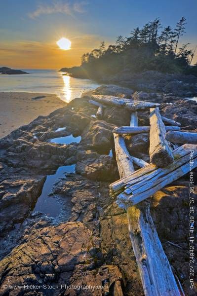 Stock photo of Sunset South Beach Driftwood Pacific Rim National Park Vancouver Island British Columbia Canada