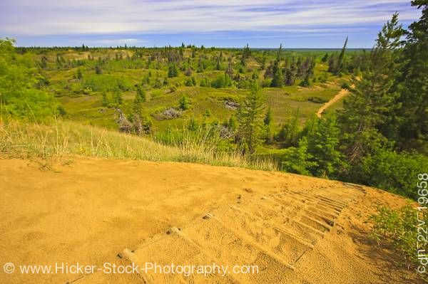 Stock photo of Overview Spirit Sands Trail atop a sand dune in Spruce Woods Provincial Park Manitoba Canada