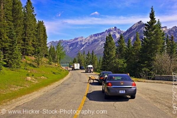 Stock photo of Traffic Lake Minnewanka Loop road Banff National Park Alberta Canada