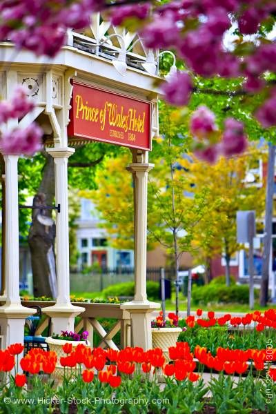 Stock photo of Tulips entrance of Prince of Wales Hotel (built in 1864) in the town of Niagara-on-the-Lake Ontario