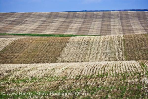 Stock photo of Wheat fields Hwy 5 Cardston Spring Coulee Southern Alberta Alberta Canada