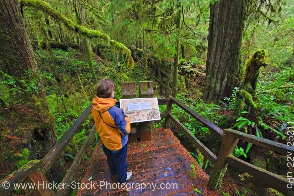 Stock photo of Woman and Sign Rainforest Trail Pacific Rim National Park Vancouver Island British Columbia Canada
