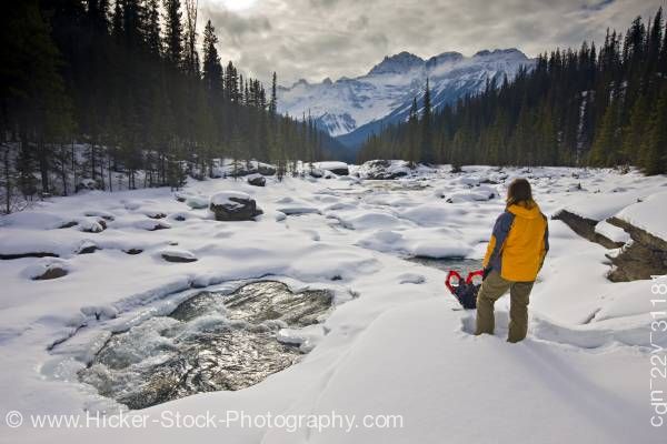 Stock photo of Woman Snowshoes Mistaya River and Mount Sarbach Mistaya Canyon Banff National Park Alberta Canada 